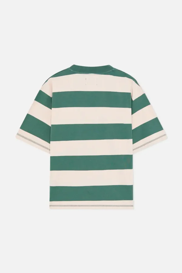 CAMISA2-DETRAS Boy Green Striped T-Shirt