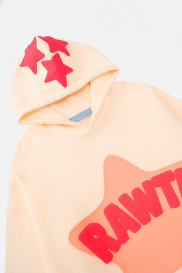 SUDADERA10-ZOOM Aelfric Eden Star